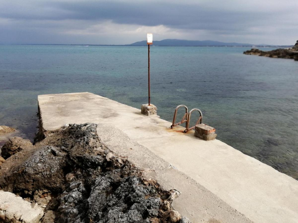 Villa Flora Argentario Porto Santo Stefano  Kültér fotó