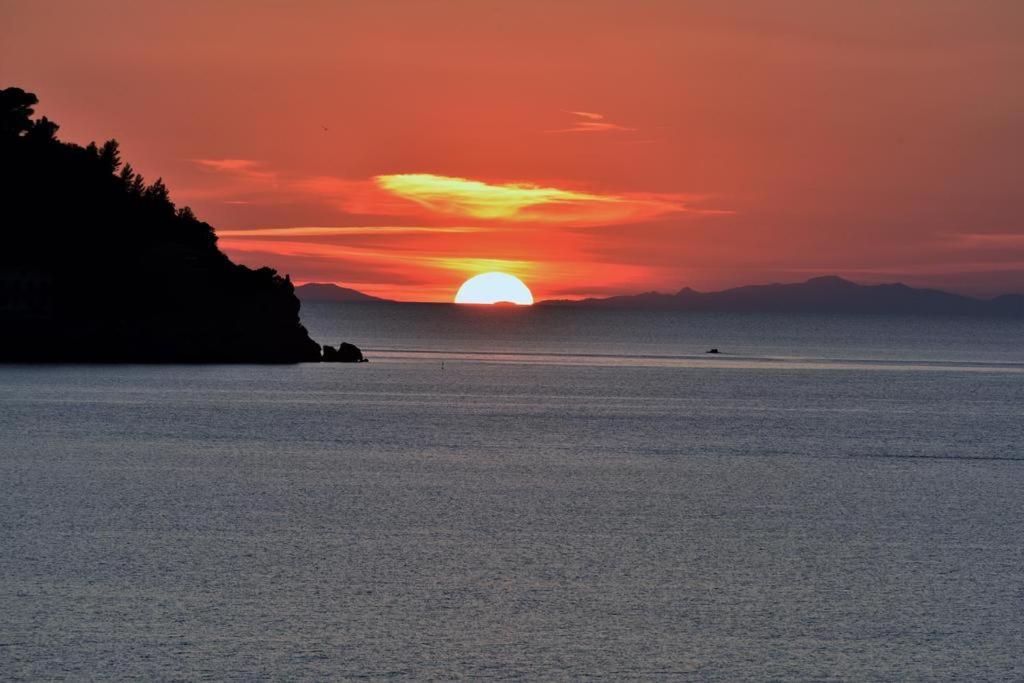 Villa Flora Argentario Porto Santo Stefano  Kültér fotó