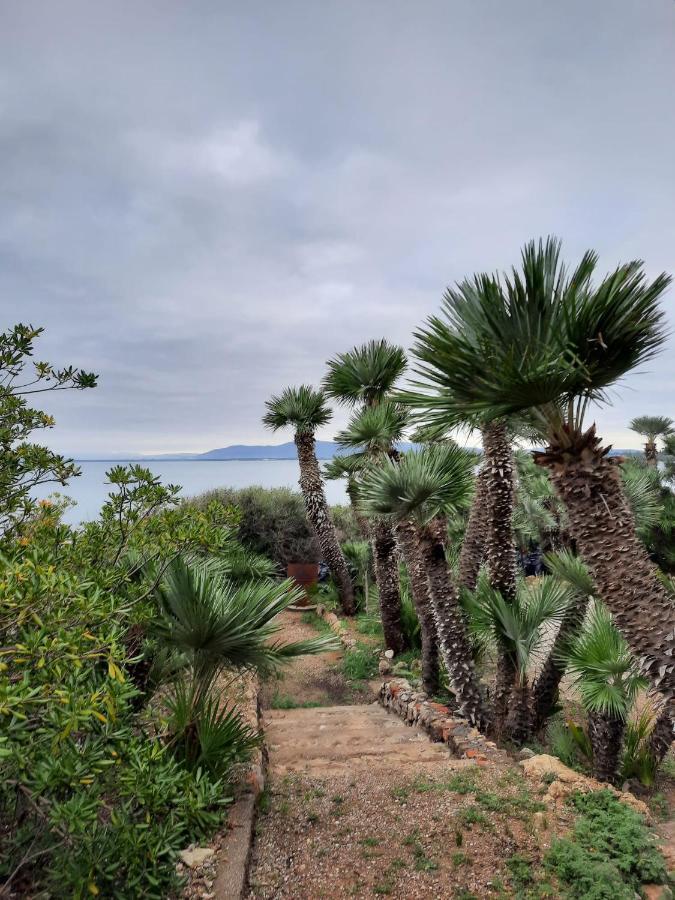 Villa Flora Argentario Porto Santo Stefano  Kültér fotó